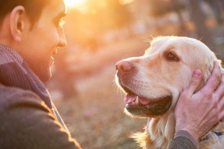 Developing Honest Character in Puppies